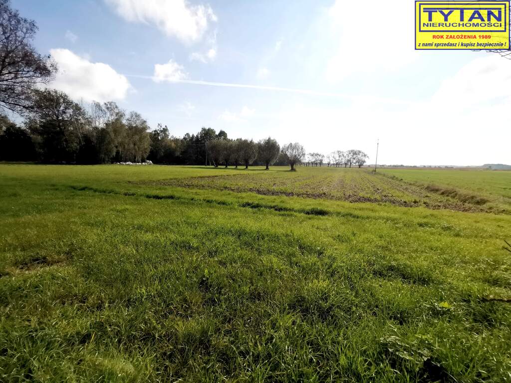 Działka budowlana 1117&nbsp;m², Budne - zdjęcie 6
