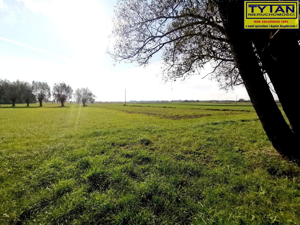 Działka budowlana 1117&nbsp;m², Budne - zdjęcie 9