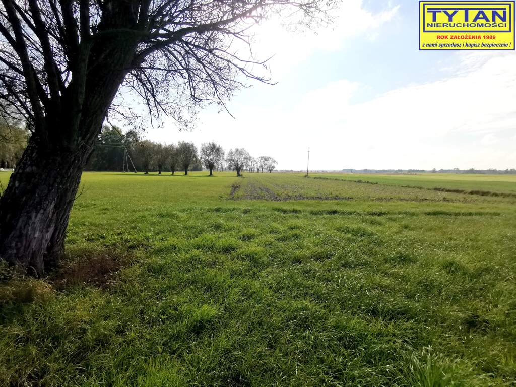 Działka budowlana 1117&nbsp;m², Budne - zdjęcie 4