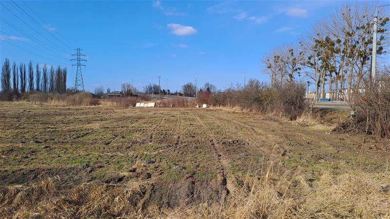 Działka budowlana 2,69&nbsp;ha, Gdańsk, Elbląska - zdjęcie 2