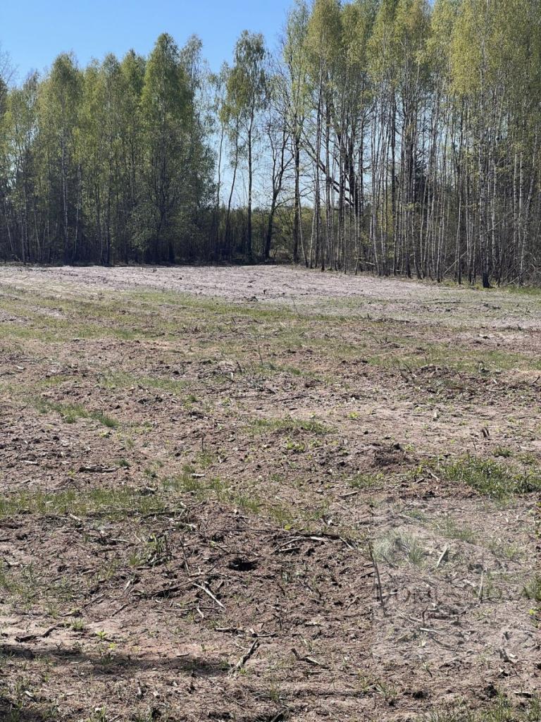 Działka z wydanymi warunkami zabudowy w Czarnocin - zdjęcie 2