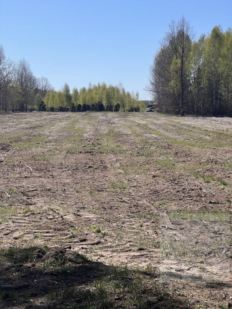Działka z wydanymi warunkami zabudowy w Czarnocin - zdjęcie 3