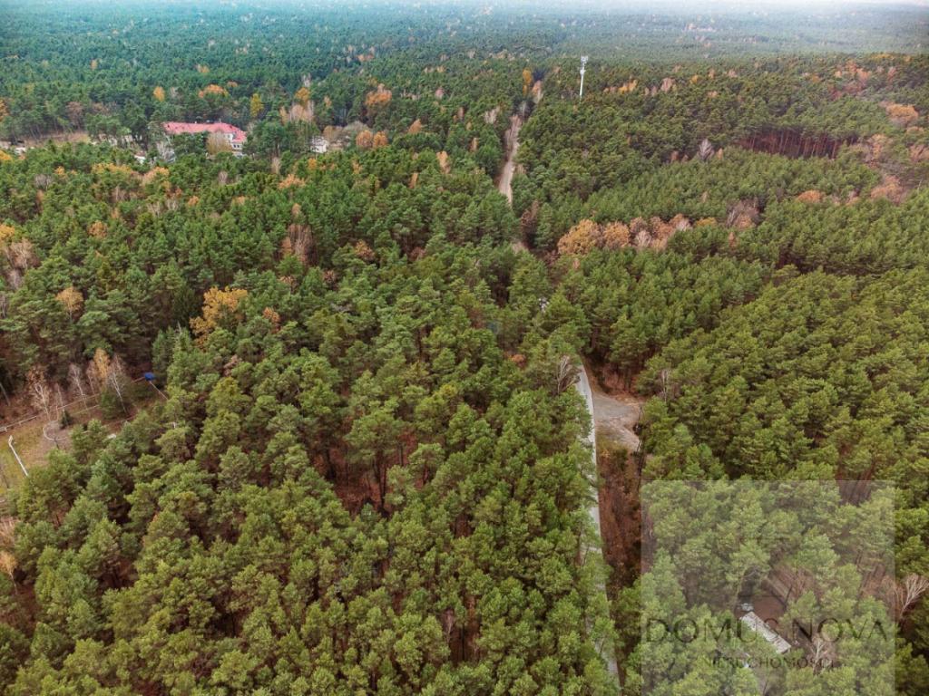 Dom z bala w stylu góralskim - działka 1,5 ha - zdjęcie 23