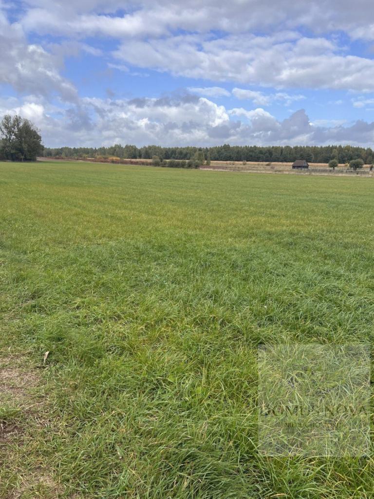 Duża działka 5000 m² w Budach Ciepielińskich - zdjęcie 2