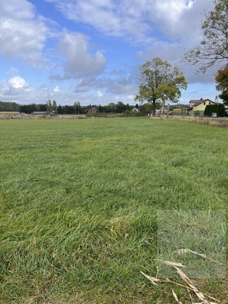 Duża działka 5000 m² w Budach Ciepielińskich - zdjęcie 1