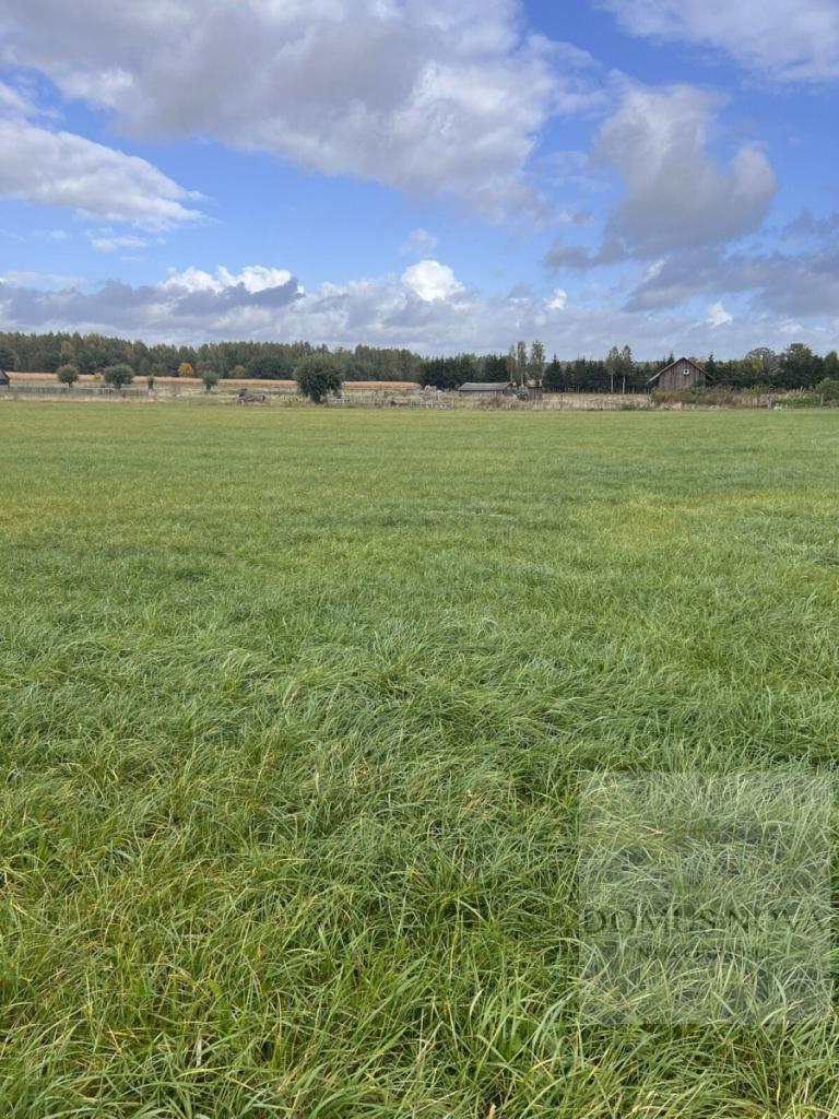 Duża działka 5000 m² w Budach Ciepielińskich - zdjęcie 3