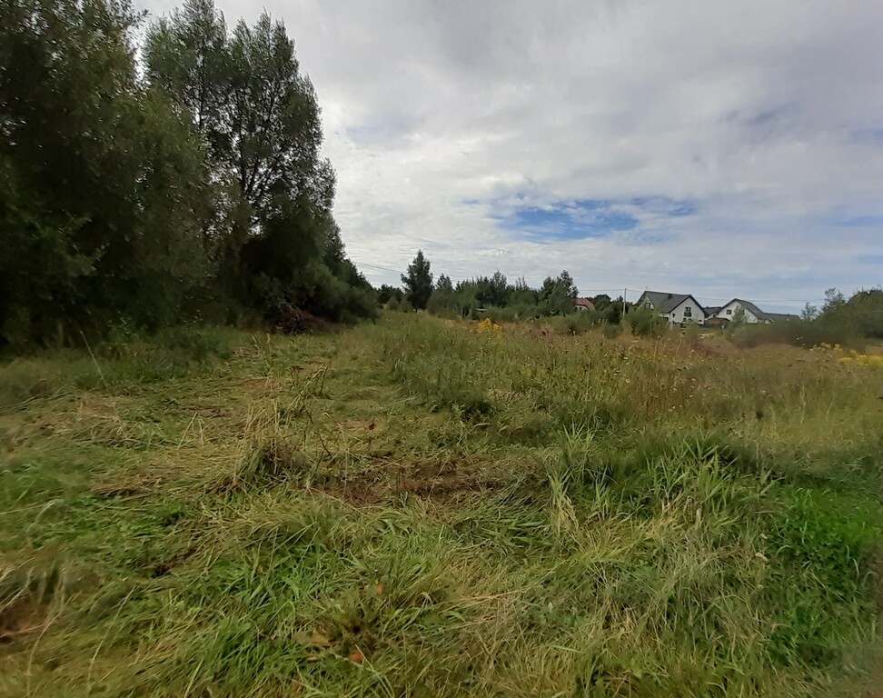 Działka budowlana 2613 m², Glincz, Cedrowa - zdjęcie 4