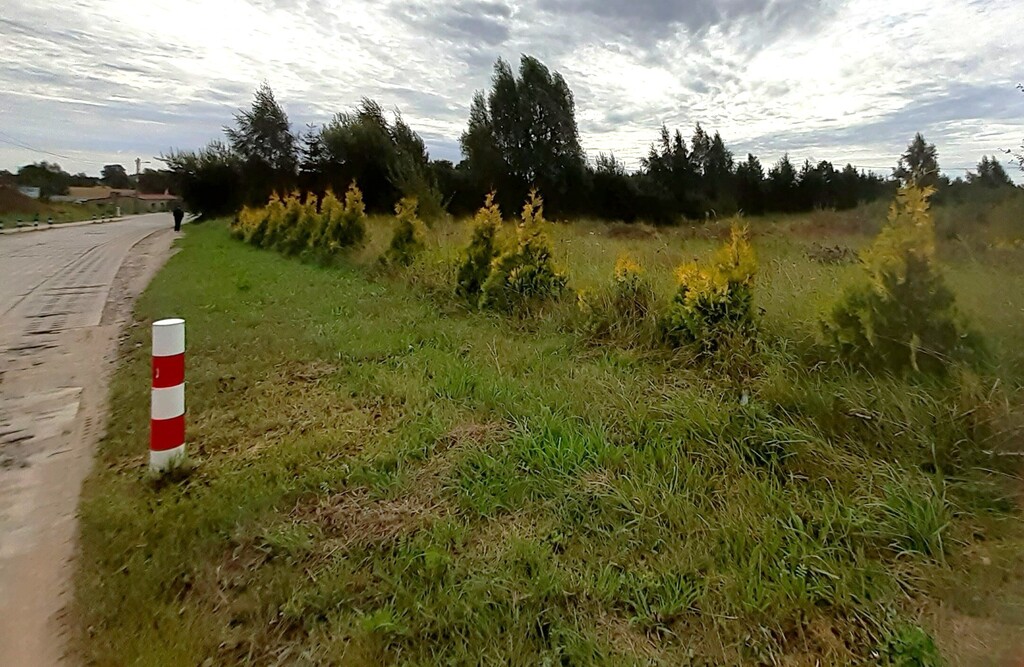 Działka budowlana 2613 m², Glincz, Cedrowa - zdjęcie 3