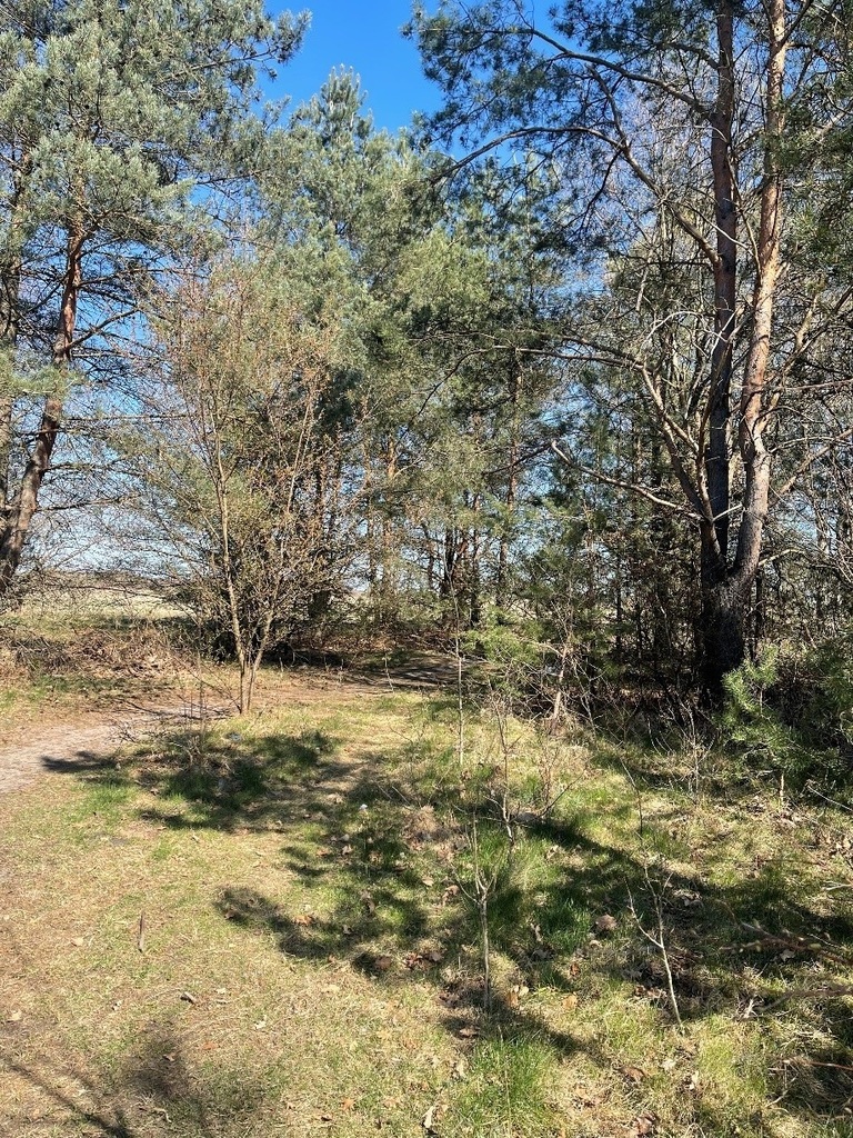 Działka budowlana 870 m², Białogard, Tadeusza Nalepy - zdjęcie 1