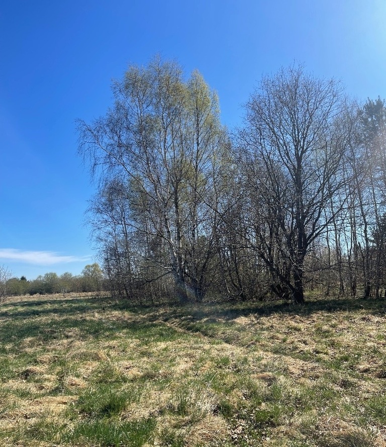 Działka budowlana 854 m², Białogard, Tadeusza Nalepy - zdjęcie 1