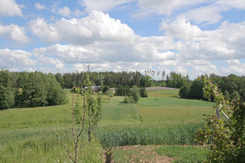 Działka gospodarstwo 4819&nbsp;m², Sadłowina - zdjęcie 2