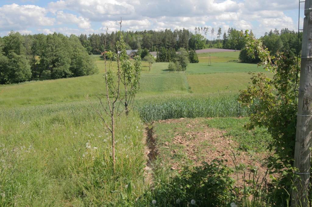 Działka gospodarstwo 4819&nbsp;m², Sadłowina - zdjęcie 1