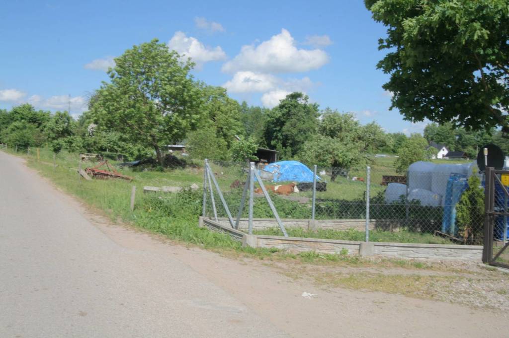 Działka gospodarstwo 4819&nbsp;m², Sadłowina - zdjęcie 6