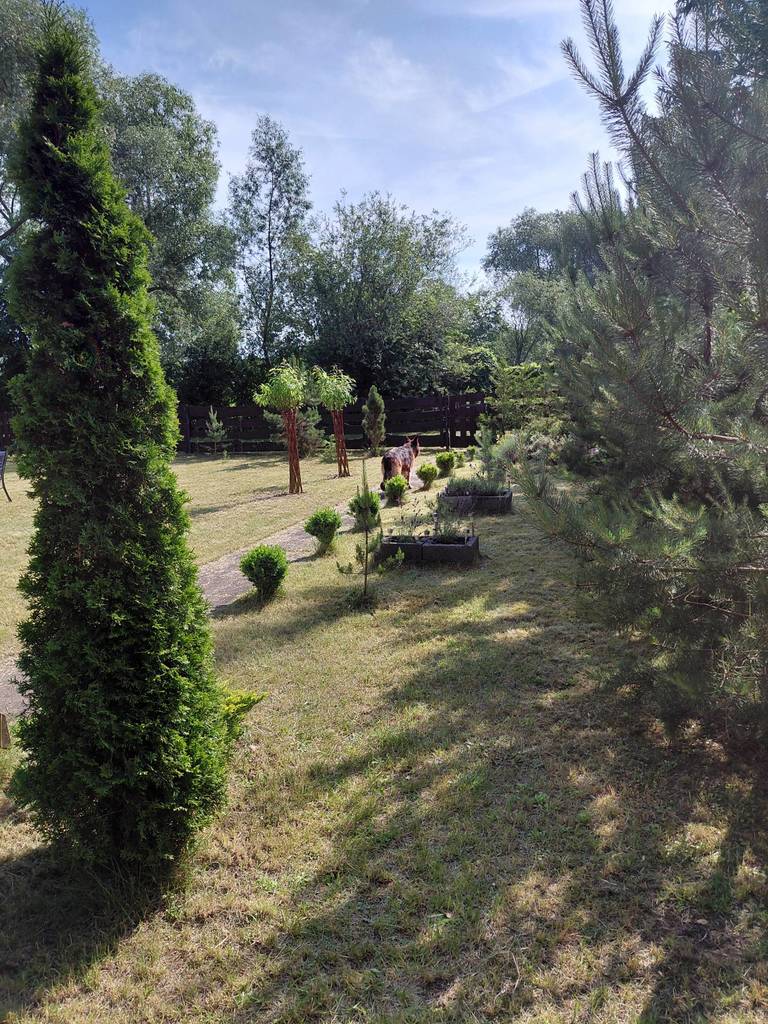 Działka rekreacyjna 500 m², Goniądz, Demokratyczna - zdjęcie 6