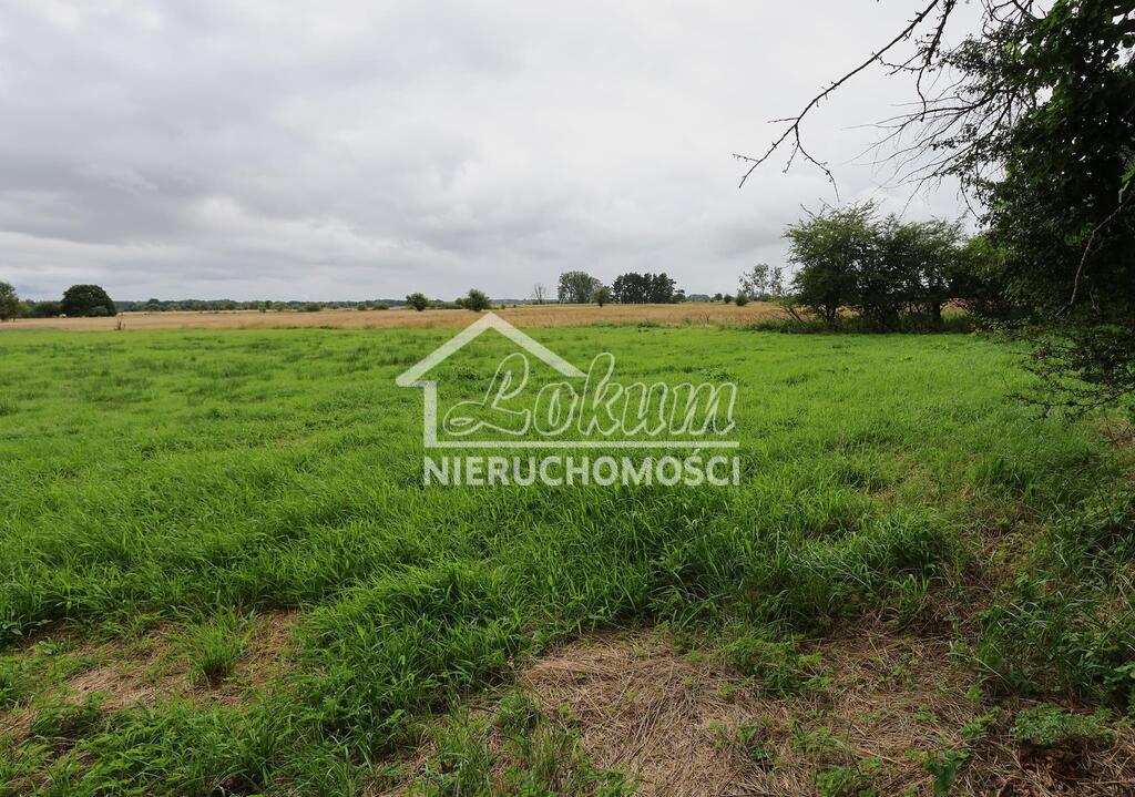 Działka rolna 1,95&nbsp;ha, Żarnowo - zdjęcie 8