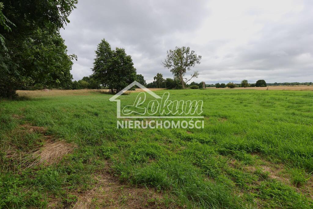 Działka rolna 1,95&nbsp;ha, Żarnowo - zdjęcie 5