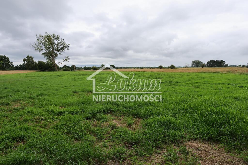 Działka rolna 1,95&nbsp;ha, Żarnowo - zdjęcie 2