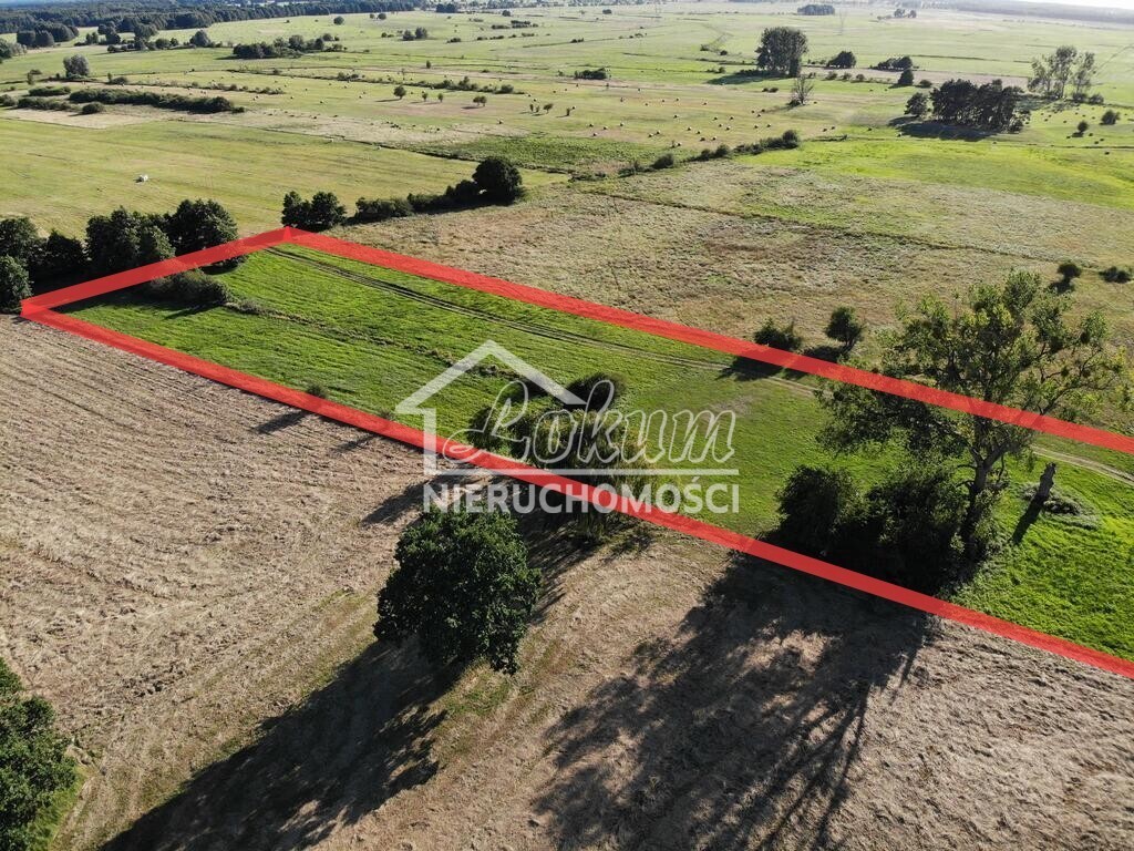 Działka rolna 1,95&nbsp;ha, Żarnowo - zdjęcie 7