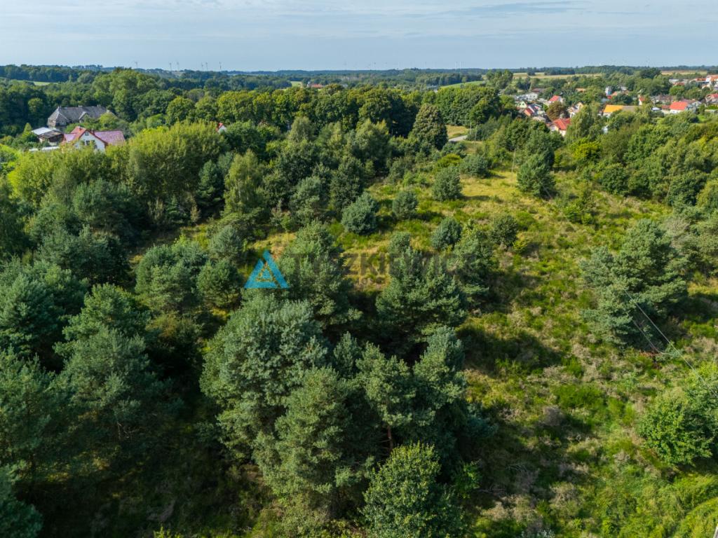 Działka inwestycyjna 2,43 ha Łebień. - zdjęcie 17