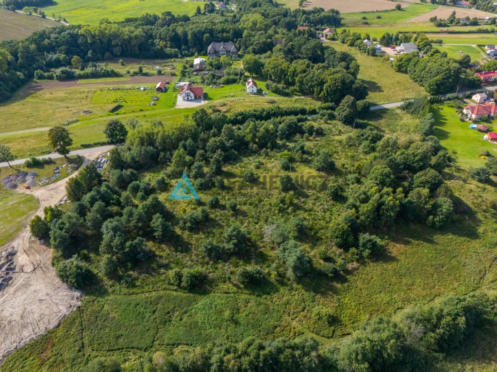 Działka inwestycyjna 2,43 ha Łebień. - zdjęcie 11