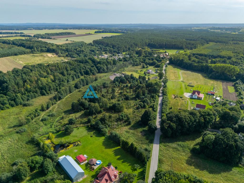 Działka inwestycyjna 2,43 ha Łebień. - zdjęcie 4