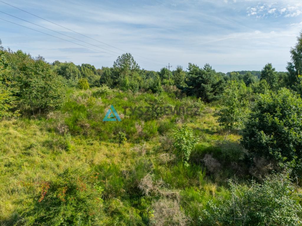 Działka inwestycyjna 2,43 ha Łebień. - zdjęcie 16