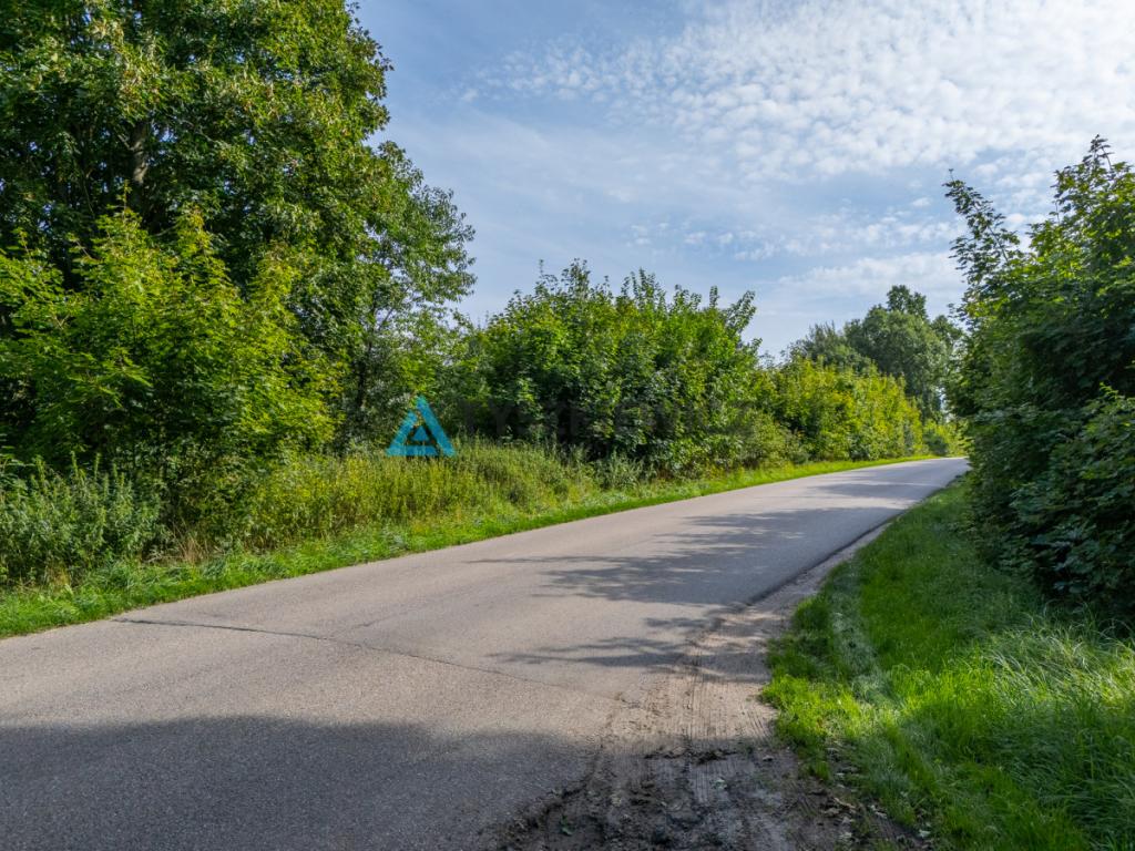 Działka inwestycyjna 2,43 ha Łebień. - zdjęcie 6