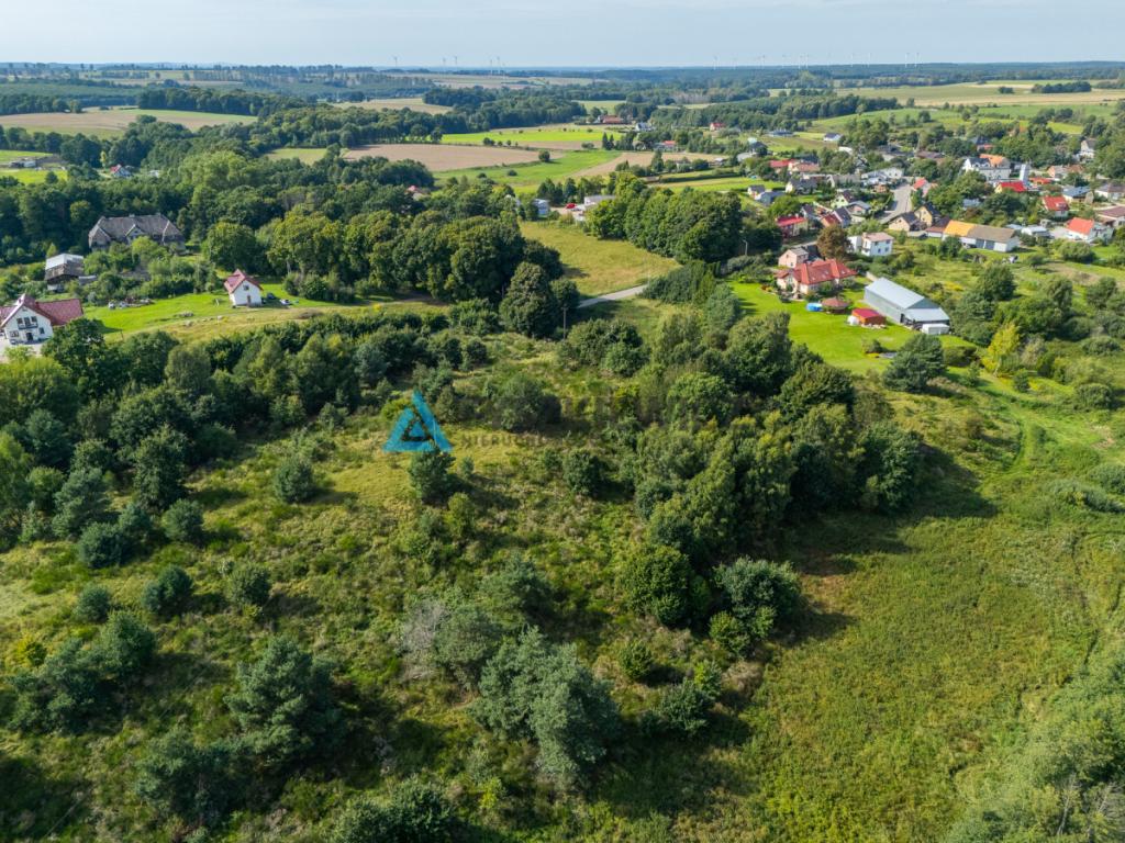Działka inwestycyjna 2,43 ha Łebień. - zdjęcie 14