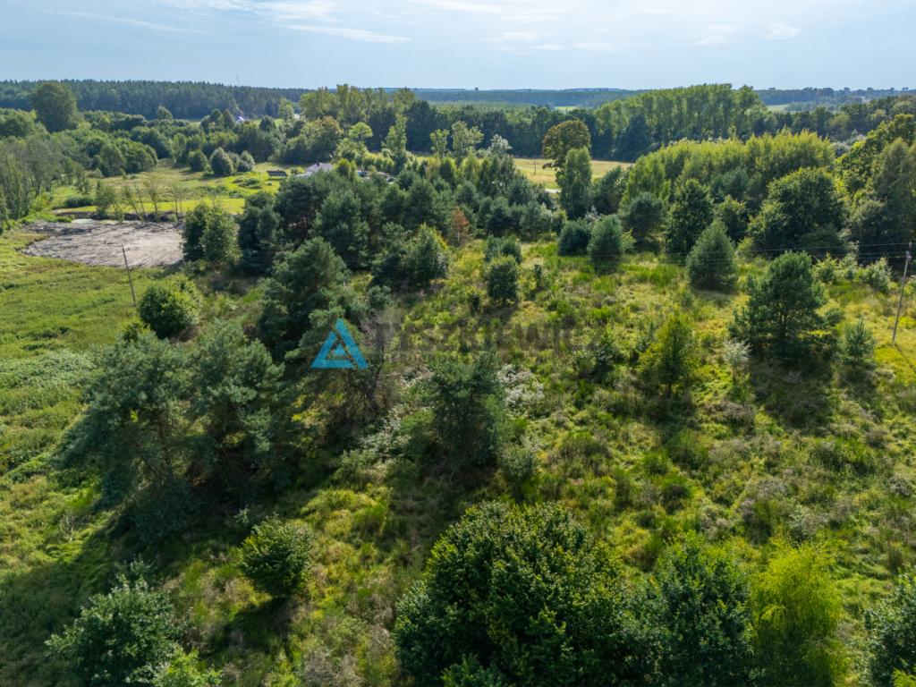Działka inwestycyjna 2,43 ha Łebień. - zdjęcie 22
