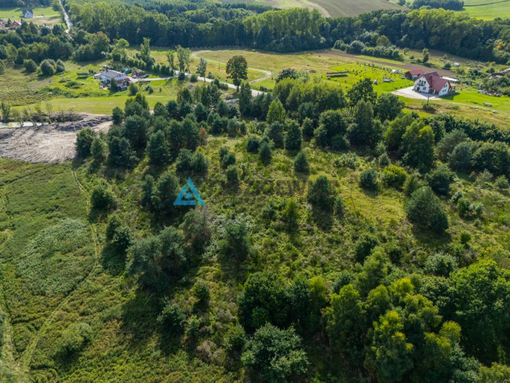 Działka inwestycyjna 2,43 ha Łebień. - zdjęcie 13