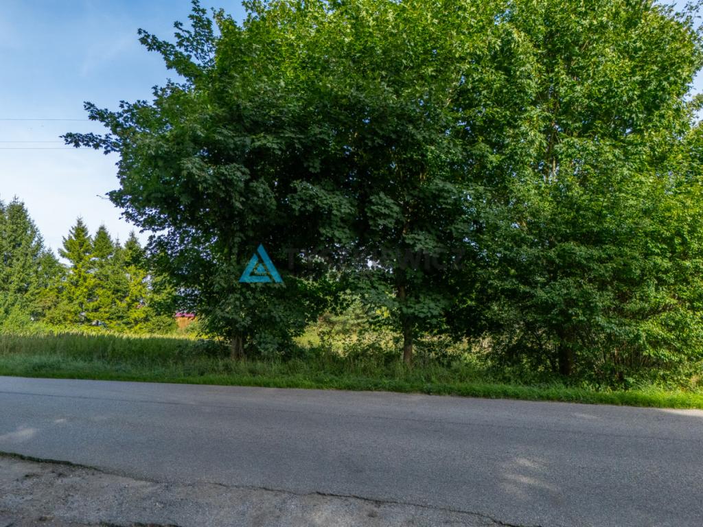 Działka inwestycyjna 2,43 ha Łebień. - zdjęcie 9