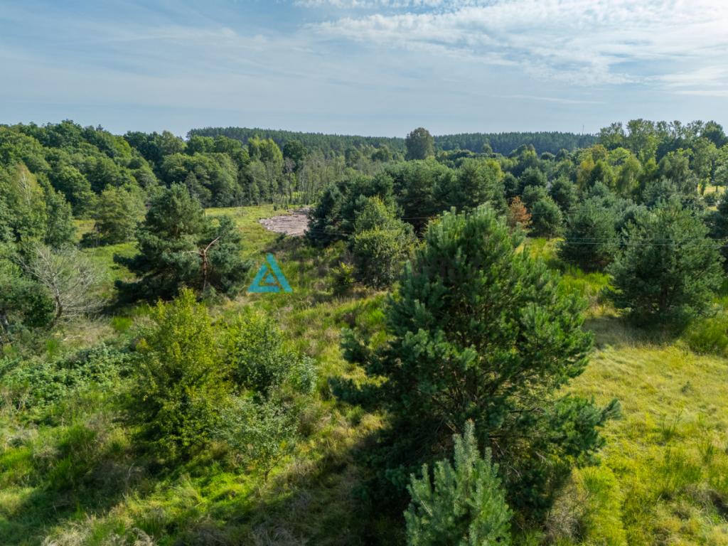 Działka inwestycyjna 2,43 ha Łebień. - zdjęcie 24