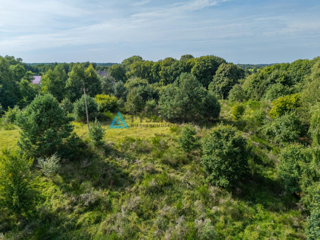 Działka inwestycyjna 2,43 ha Łebień. - zdjęcie 23