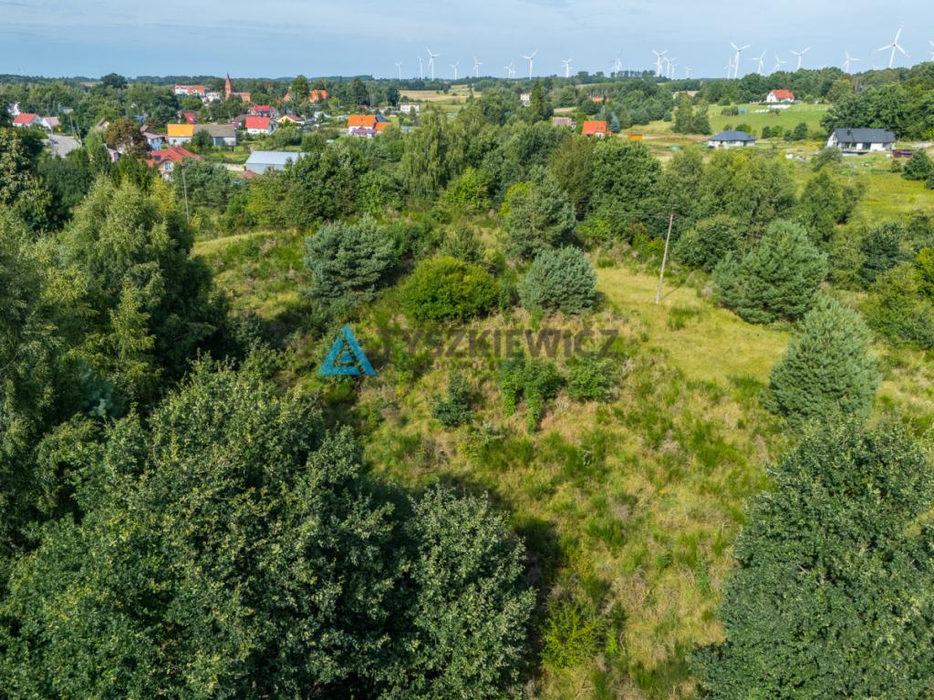 Działka inwestycyjna 2,43 ha Łebień. - zdjęcie 12