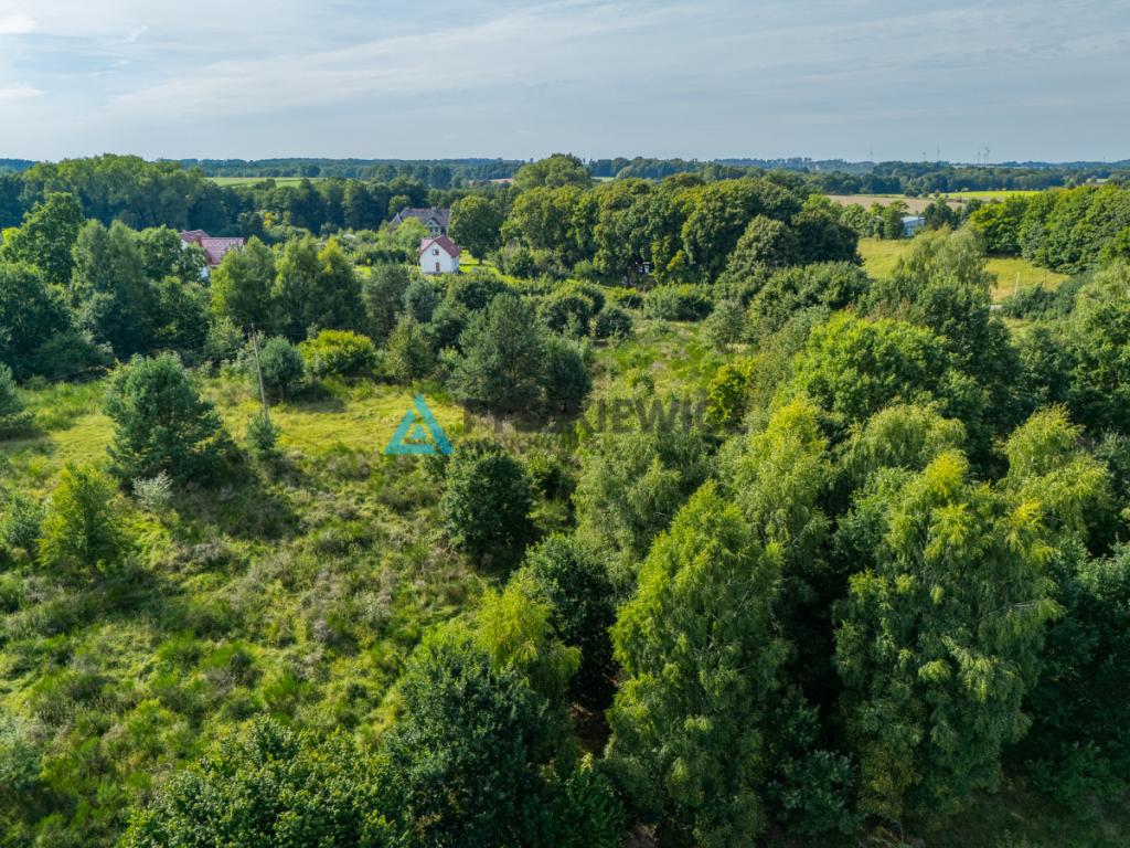 Działka inwestycyjna 2,43 ha Łebień. - zdjęcie 19
