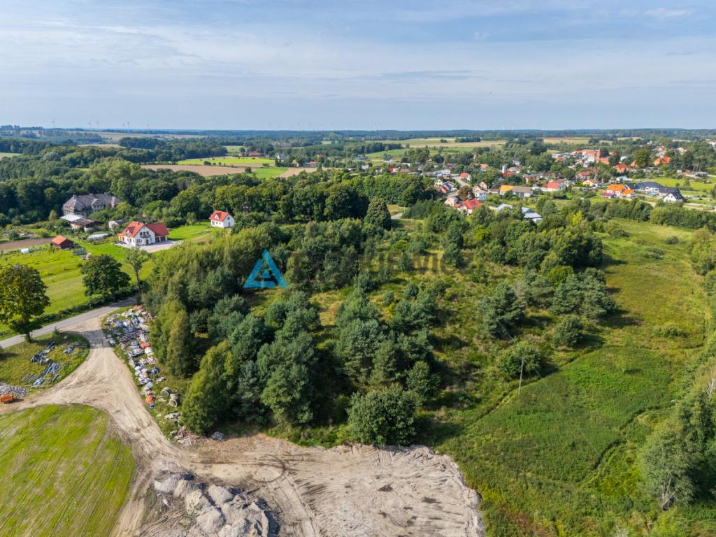 Działka inwestycyjna 2,43 ha Łebień. - zdjęcie 3