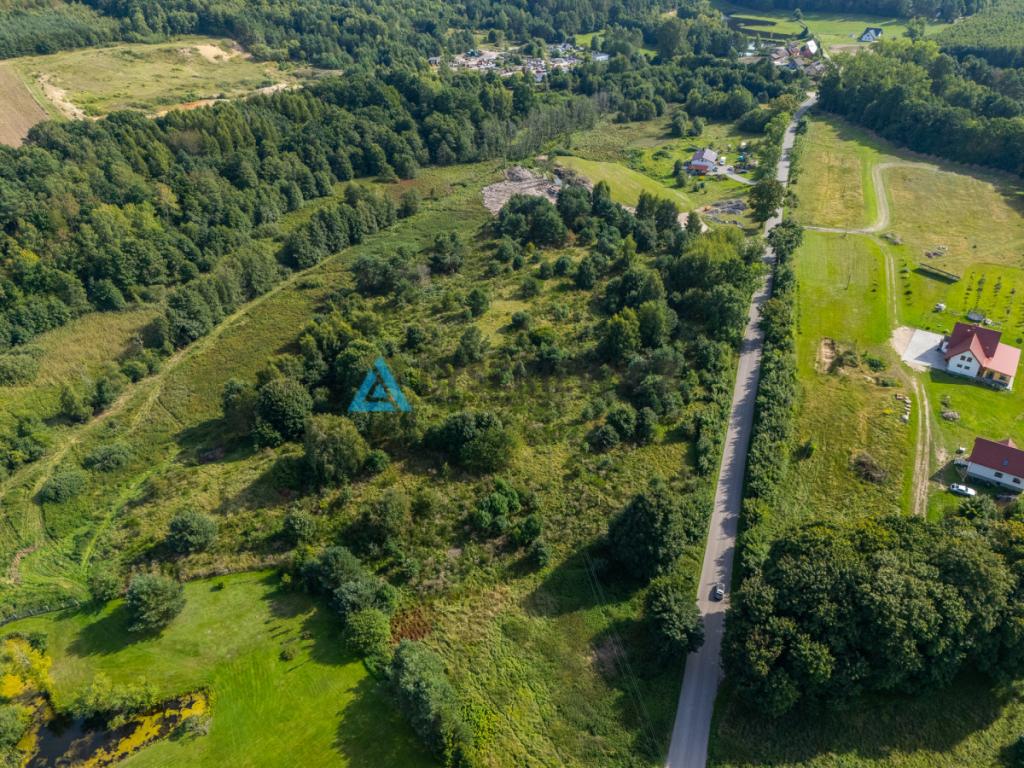 Działka inwestycyjna 2,43 ha Łebień. - zdjęcie 8