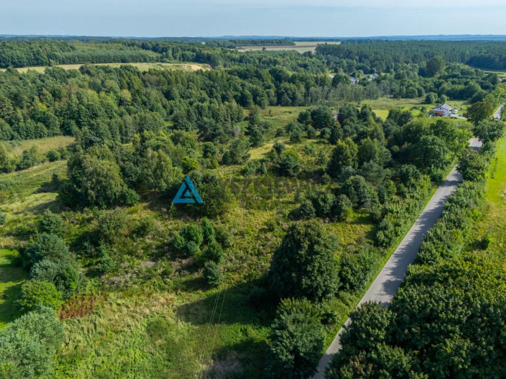 Działka inwestycyjna 2,43 ha Łebień. - zdjęcie 21
