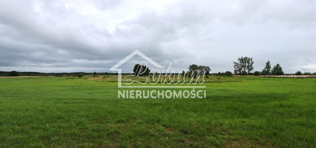 Działka rolna 4,86 ha, Żarnowo - zdjęcie 10