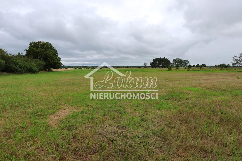 Działka rolna 4,86 ha, Żarnowo - zdjęcie 2