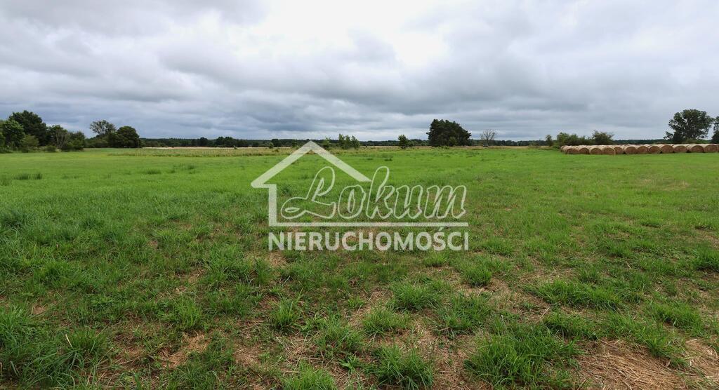 Działka rolna 4,86 ha, Żarnowo - zdjęcie 3