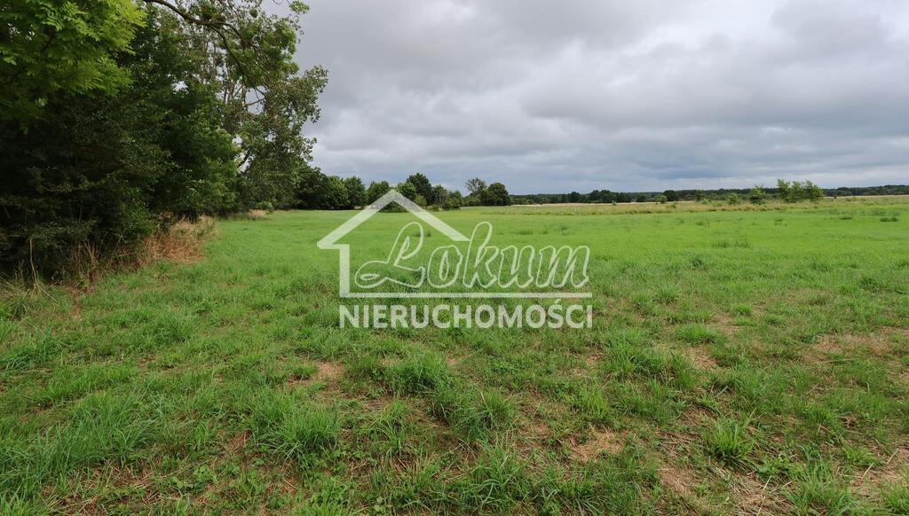 Działka rolna 4,86 ha, Żarnowo - zdjęcie 13