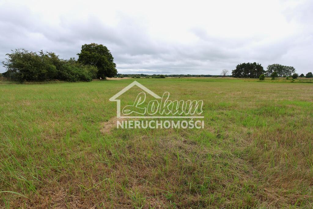 Działka rolna 4,86 ha, Żarnowo - zdjęcie 7