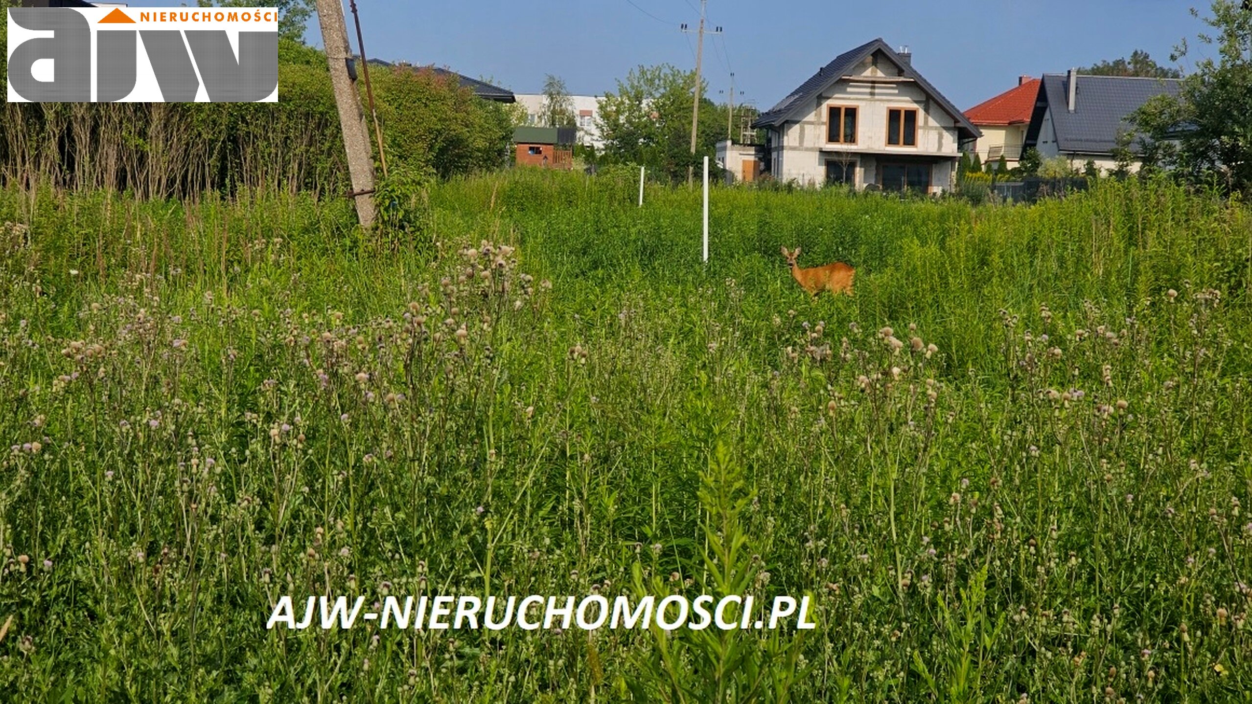 Mościska działka 1460 m2 - zdjęcie 2
