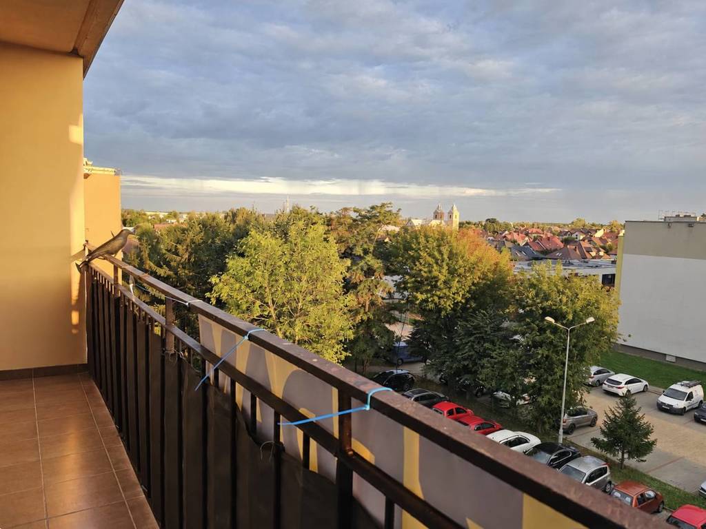 Mieszkanie 48,19 m², Łowicz, os. Bratkowice - zdjęcie 9