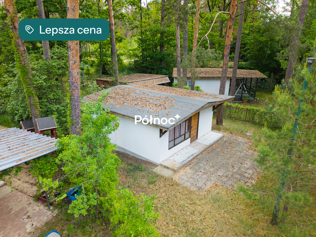 Dom 34 m², Ptaki - zdjęcie 2