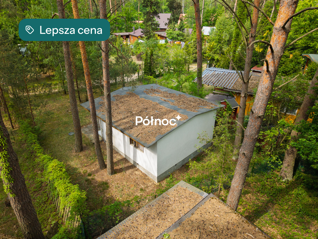 Dom 34 m², Ptaki - zdjęcie 3