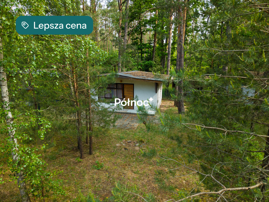 Dom 34 m², Ptaki - zdjęcie 4