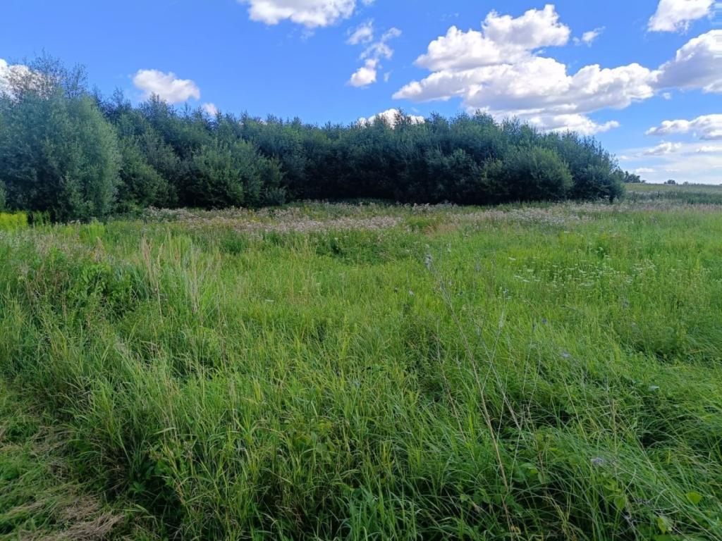 Działka budowlana 5951&nbsp;m², Srokowo - zdjęcie 11