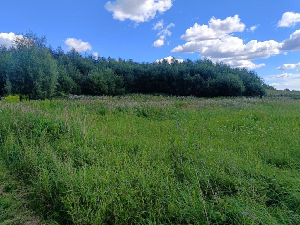 Działka budowlana 5951&nbsp;m², Srokowo - zdjęcie 9